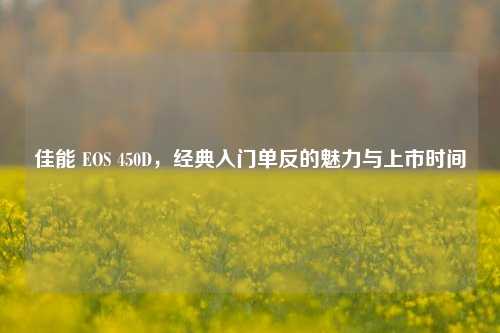 佳能 EOS 450D，经典入门单反的魅力与上市时间
