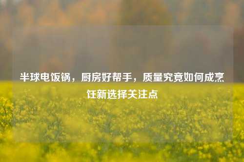 半球电饭锅,厨房好帮手,质量究竟如何成烹饪新选择关注点