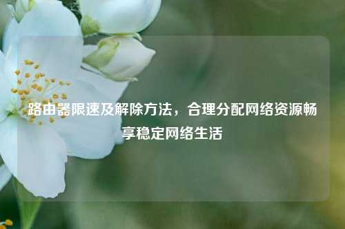 路由器限速及解除方法，合理分配网络资源畅享稳定网络生活