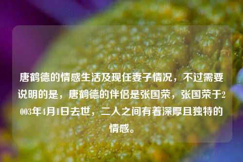 唐鹤德的情感生活及现任妻子情况，不过需要说明的是，唐鹤德的伴侣是张国荣，张国荣于2003年4月1日去世，二人之间有着深厚且独特的情感。