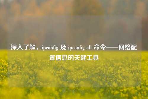 深入了解,ipconfig 及 ipconfig all 命令——网络配置信息的关键工具