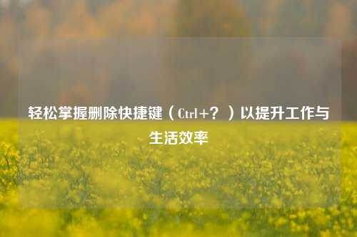轻松掌握删除快捷键(Ctrl+?)以提升工作与生活效率