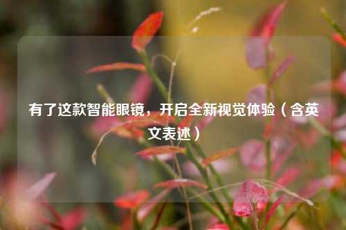 有了这款智能眼镜，开启全新视觉体验（含英文表述）
