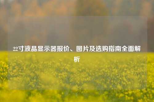 22寸液晶显示器报价、图片及选购指南全面解析