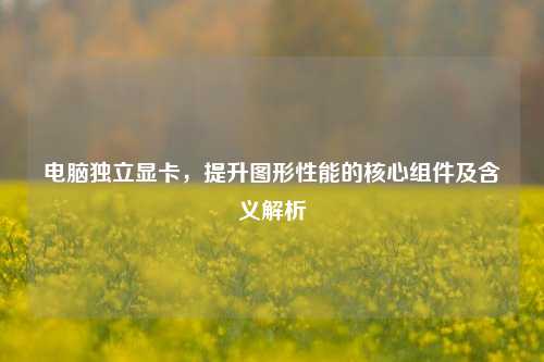 电脑独立显卡,提升图形性能的核心组件及含义解析