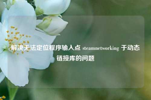解决无法定位程序输入点 steamnetworking 于动态链接库的问题