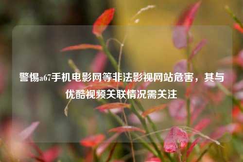 警惕a67手机电影网等非法影视网站危害，其与优酷视频关联情况需关注