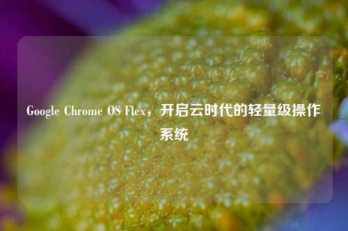 Google Chrome OS Flex，开启云时代的轻量级操作系统