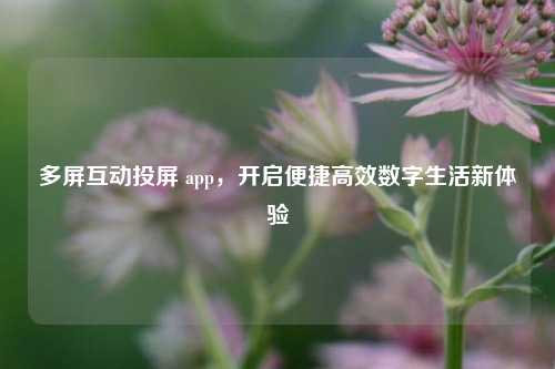 多屏互动投屏 app,开启便捷高效数字生活新体验