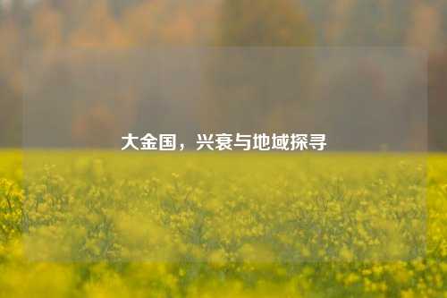 大金国，兴衰与地域探寻