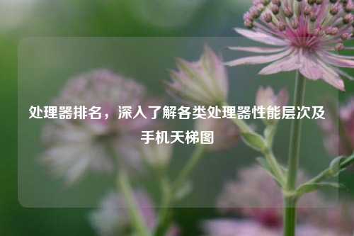 处理器排名，深入了解各类处理器性能层次及手机天梯图