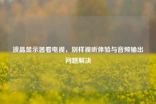 液晶显示器看电视,别样视听体验与音频输出问题解决