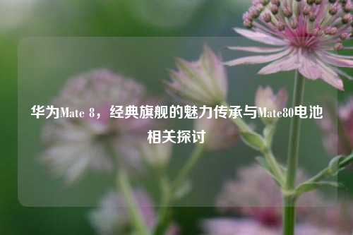华为Mate 8,经典旗舰的魅力传承与Mate80电池相关探讨