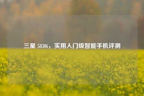 三星 5830i,实用入门级智能手机评测
