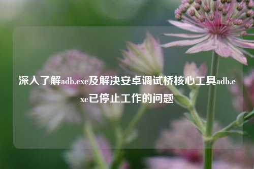 深入了解adb.exe及解决安卓调试桥核心工具adb.exe已停止工作的问题