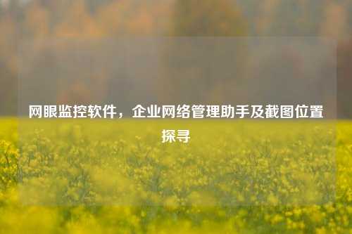 网眼监控软件，企业网络管理助手及截图位置探寻