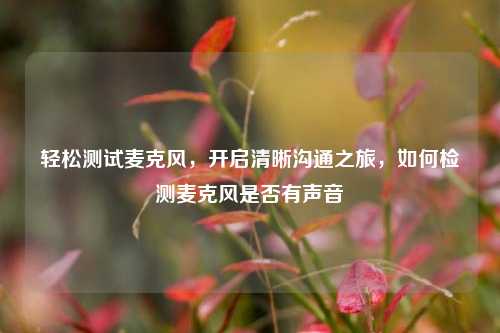 轻松测试麦克风，开启清晰沟通之旅，如何检测麦克风是否有声音