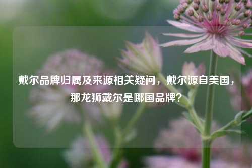 戴尔品牌归属及来源相关疑问,戴尔源自美国,那龙狮戴尔是哪国品牌?