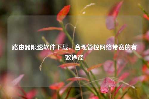 路由器限速软件下载，合理管控网络带宽的有效途径