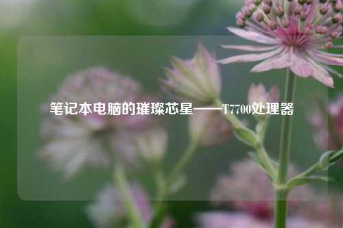 笔记本电脑的璀璨芯星——T7700处理器