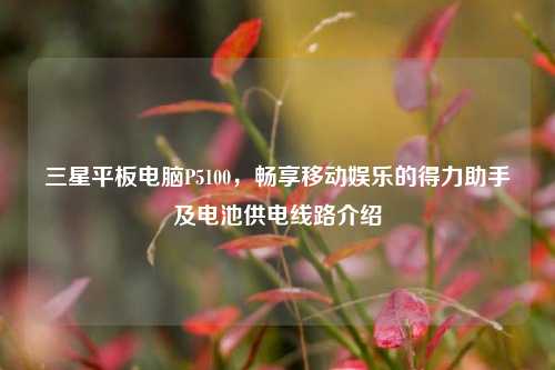 三星平板电脑P5100,畅享移动娱乐的得力助手及电池供电线路介绍