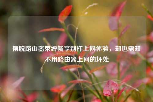 摆脱路由器束缚畅享别样上网体验,却也需知不用路由器上网的坏处