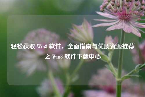 轻松获取 Win8 软件,全面指南与优质资源推荐之 Win8 软件下载中心