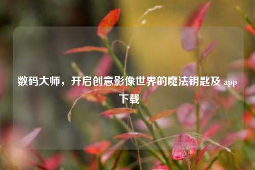 数码大师,开启创意影像世界的魔法钥匙及 app 下载