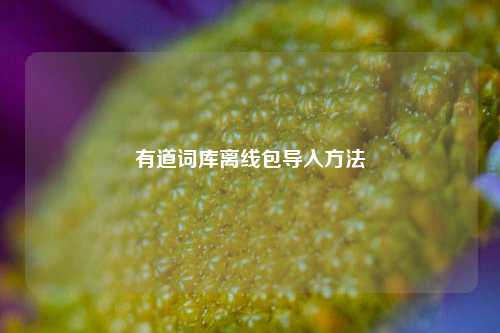 有道词库离线包导入方法