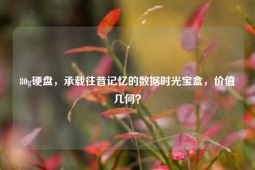 80g硬盘，承载往昔记忆的数据时光宝盒，价值几何？