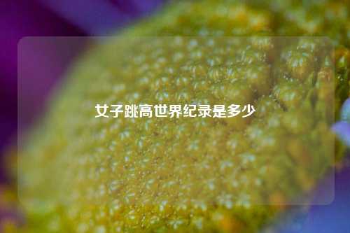 女子跳高世界纪录是多少
