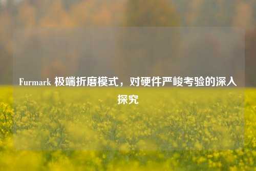 Furmark 极端折磨模式，对硬件严峻考验的深入探究