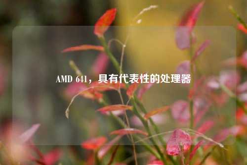 AMD 641，具有代表性的处理器
