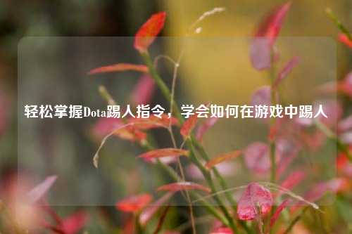 轻松掌握Dota踢人指令，学会如何在游戏中踢人
