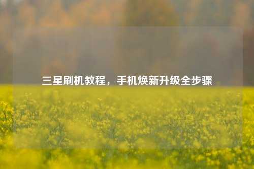 三星刷机教程，手机焕新升级全步骤