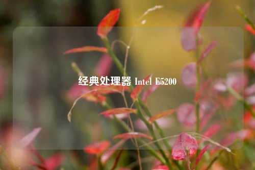 经典处理器 Intel E5200