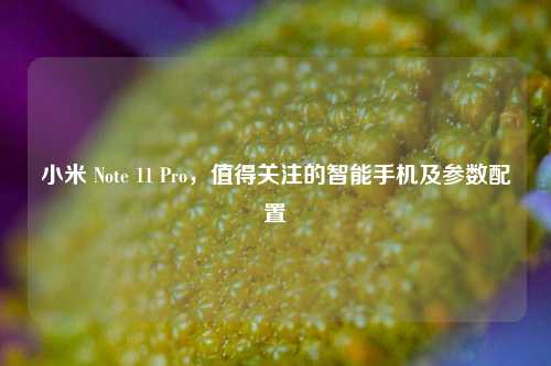 小米 Note 11 Pro，值得关注的智能手机及参数配置