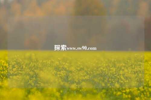 探索www.sw90.com