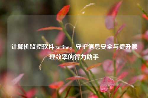 计算机监控软件garfine,守护信息安全与提升管理效率的得力助手
