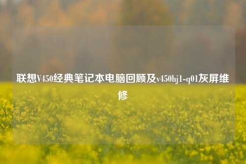 联想V450经典笔记本电脑回顾及v450hj1-q01灰屏维修