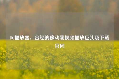 UC播放器，曾经的移动端视频播放巨头及下载官网