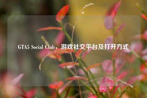 GTA5 Social Club,游戏社交平台及打开方式