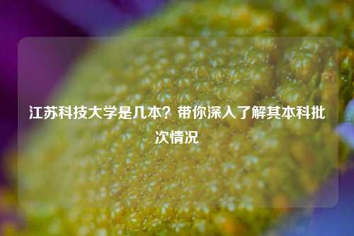 江苏科技大学是几本？带你深入了解其本科批次情况