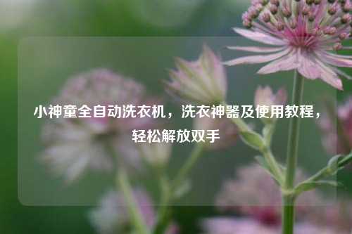 小神童全自动洗衣机，洗衣神器及使用教程，轻松解放双手