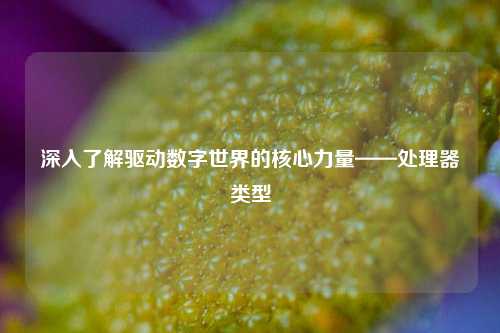 深入了解驱动数字世界的核心力量——处理器类型