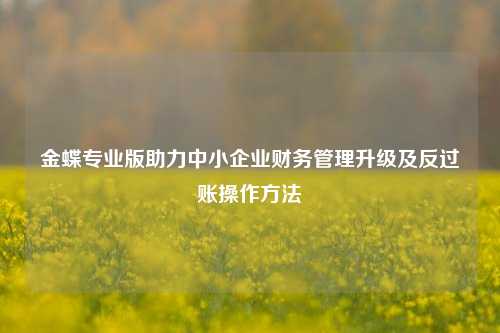 金蝶专业版助力中小企业财务管理升级及反过账操作方法