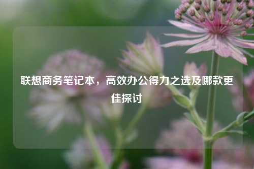 联想商务笔记本，高效办公得力之选及哪款更佳探讨