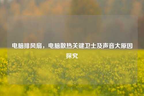 电脑排风扇,电脑散热关键卫士及声音大原因探究