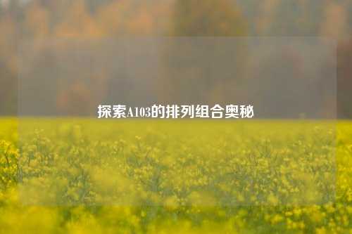 探索A103的排列组合奥秘