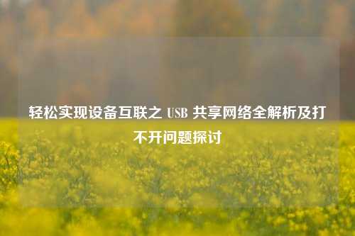 轻松实现设备互联之 USB 共享网络全解析及打不开问题探讨